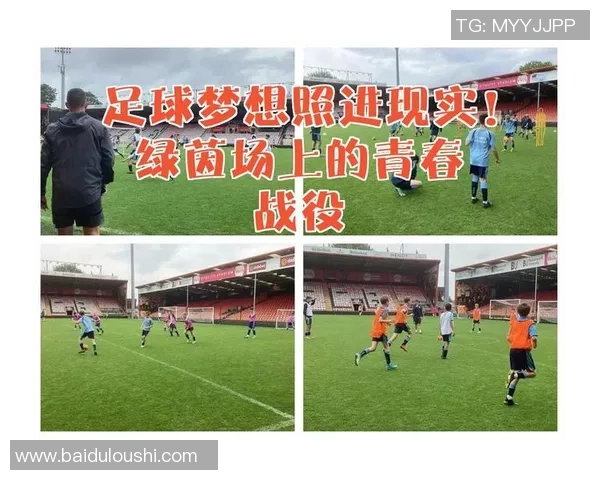 足球邻居的故事：在绿茵场上绽放的友情与梦想